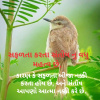 IMG 20220617 230551 1